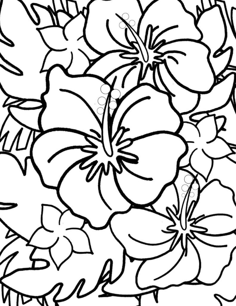 38 Hibiscus Coloring Pages for Kids Printable 3