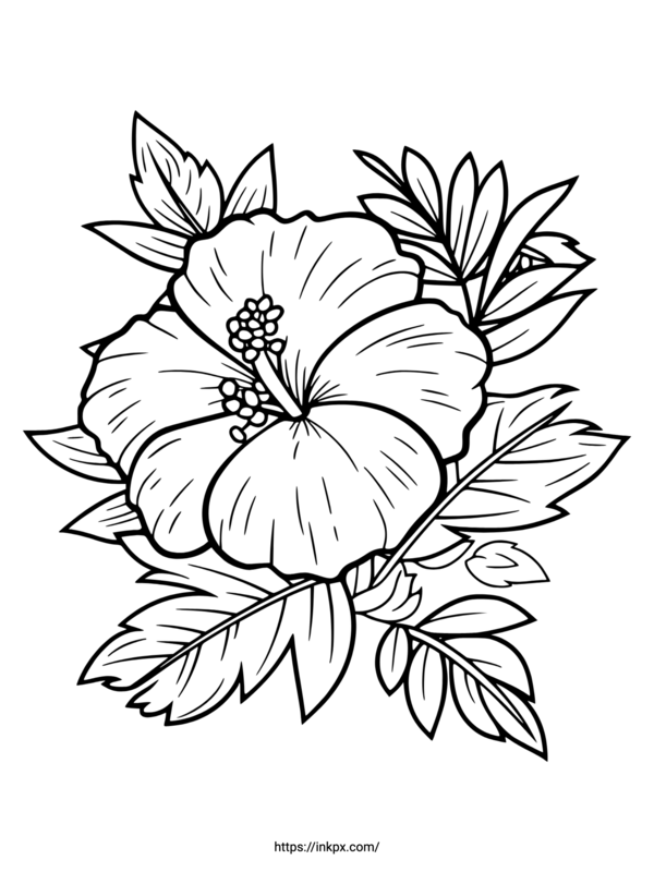 38 Hibiscus Coloring Pages for Kids Printable 5