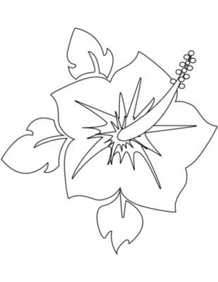 38 Hibiscus Coloring Pages for Kids Printable 6