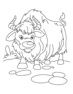 93 Yak Coloring Pages Printable 10