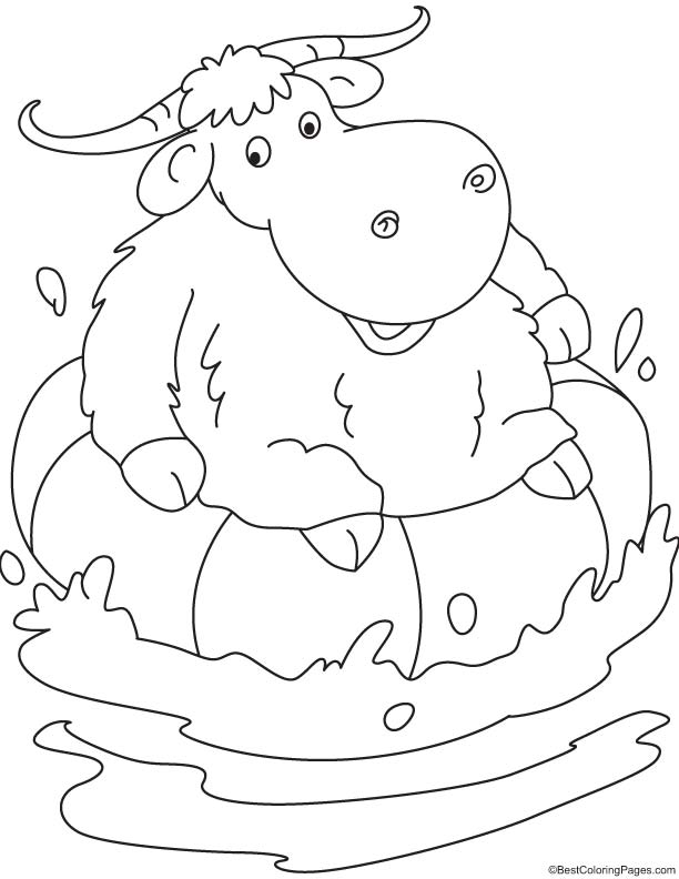 93 Yak Coloring Pages Printable 12