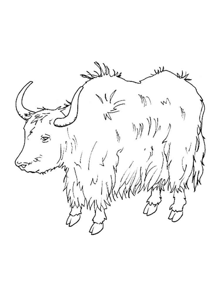 93 Yak Coloring Pages Printable 26