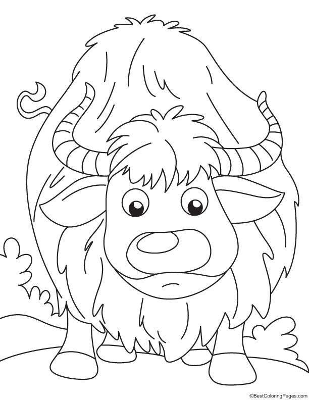 93 Yak Coloring Pages Printable 27