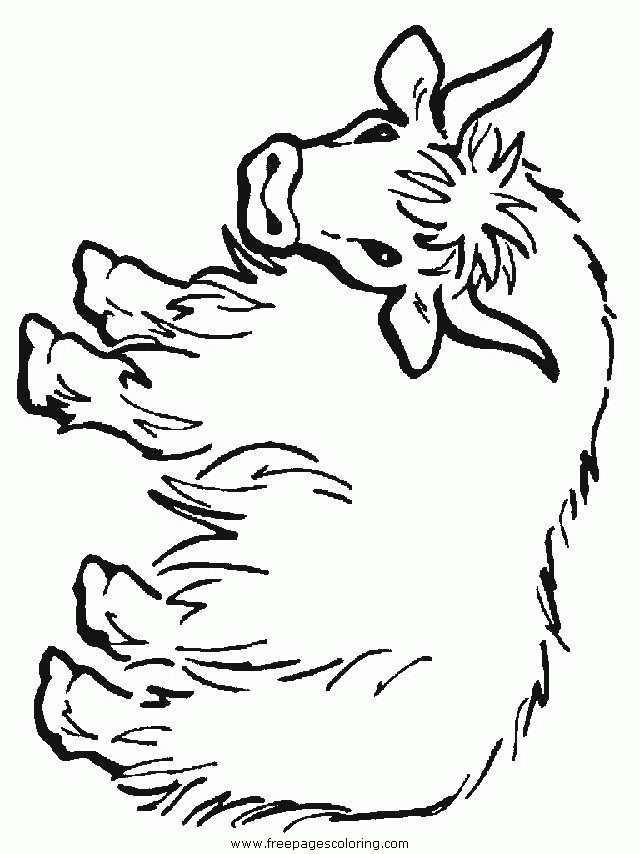 93 Yak Coloring Pages Printable 31