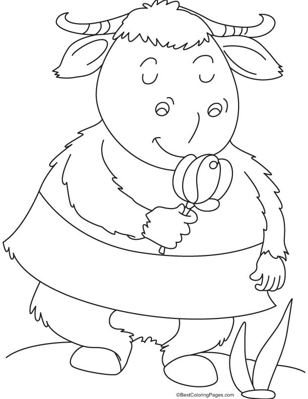 93 Yak Coloring Pages Printable 44