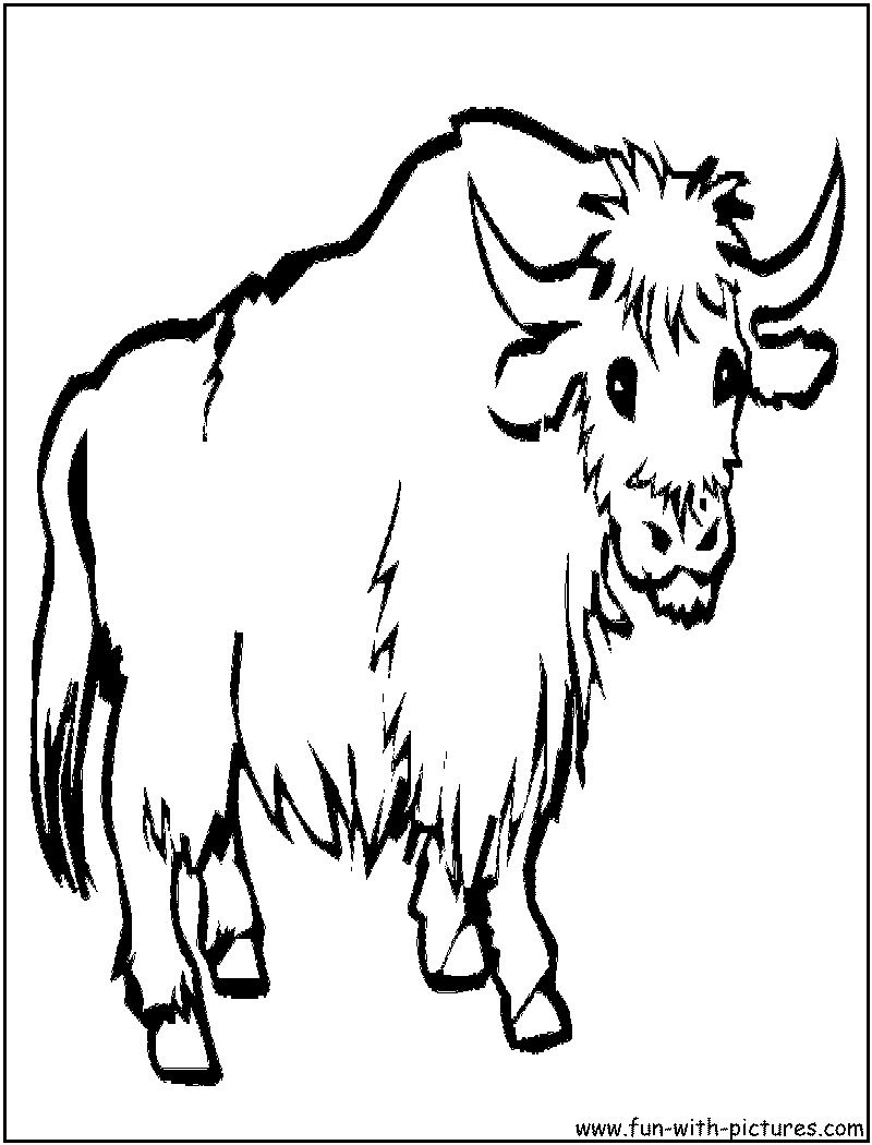 93 Yak Coloring Pages Printable 5