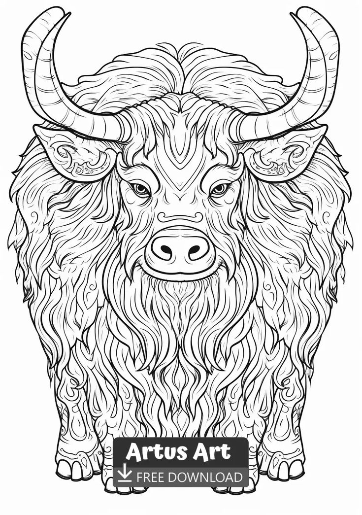 93 Yak Coloring Pages Printable 57