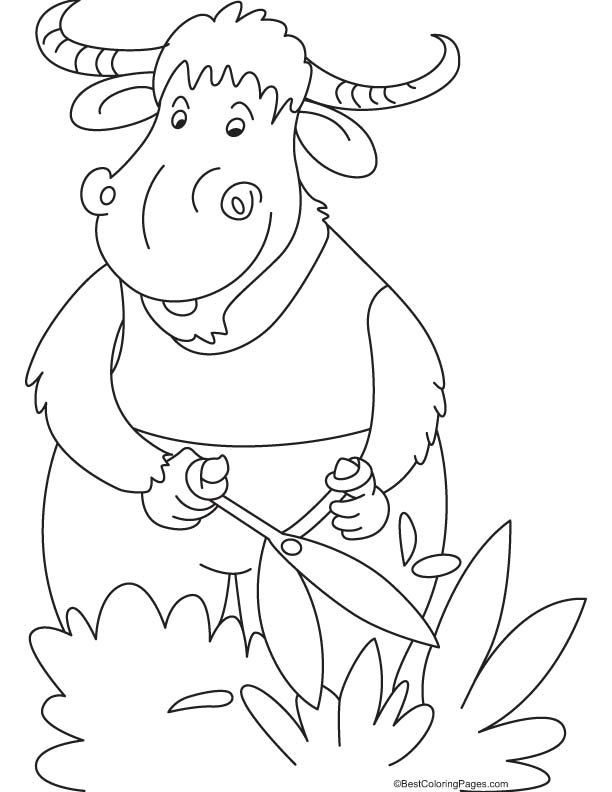 93 Yak Coloring Pages Printable 84