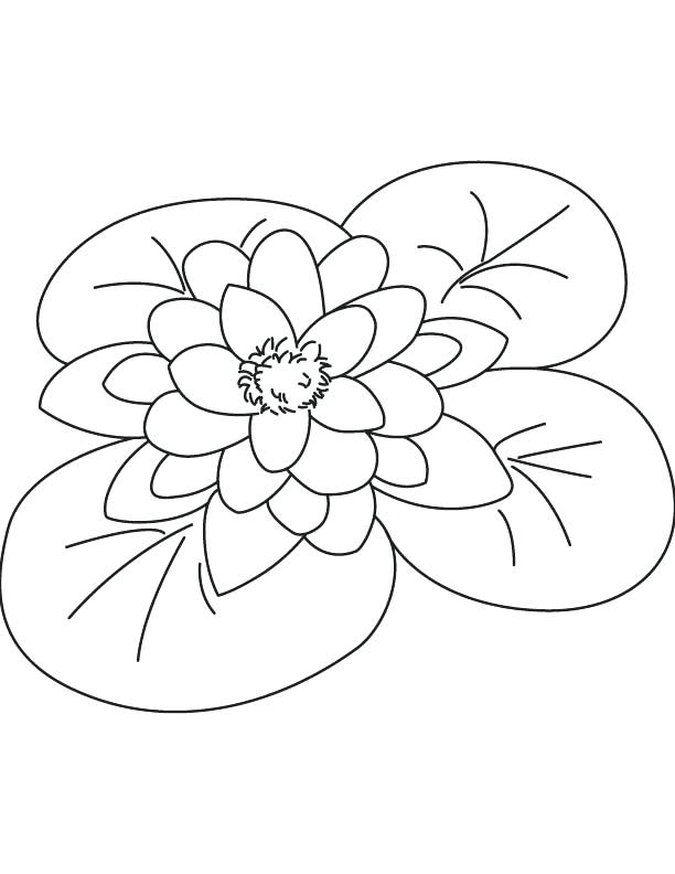 95 Claude Monet Coloring Pages Printable 18