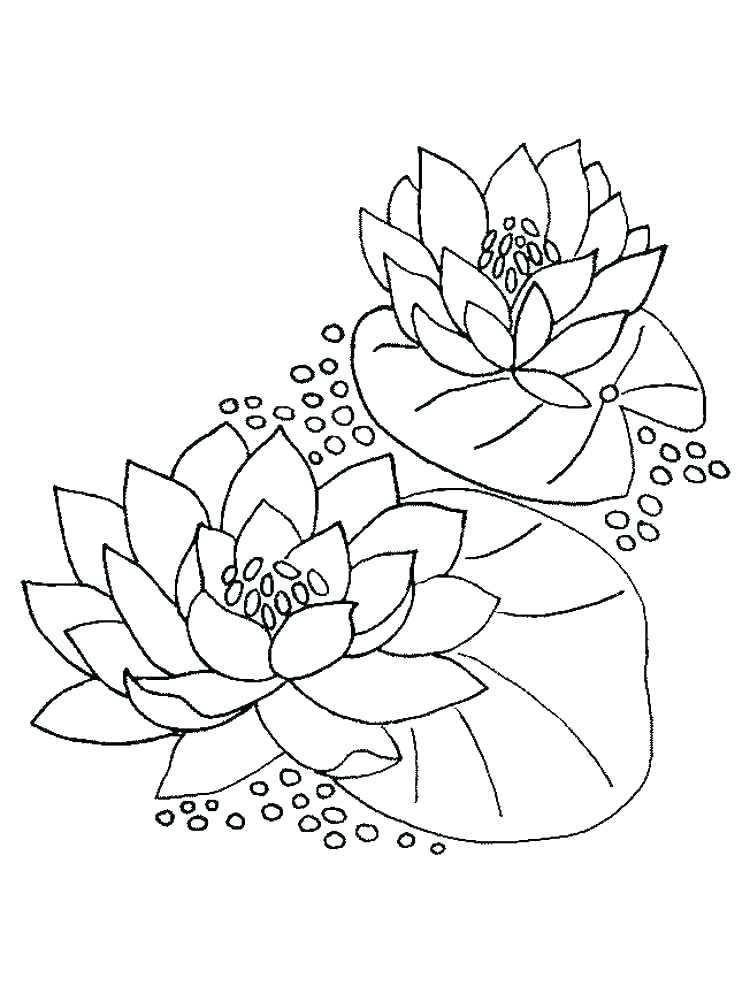 95 Claude Monet Coloring Pages Printable 35