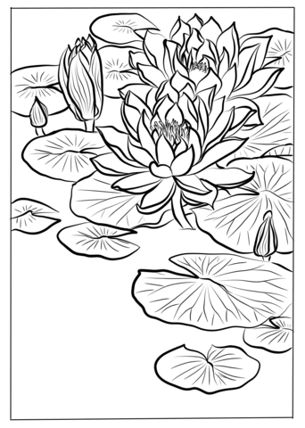 95 Claude Monet Coloring Pages Printable 60