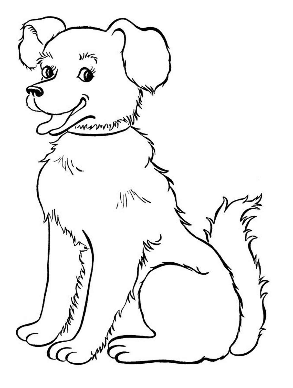 31 Animal Dog Coloring Pages Printable 23