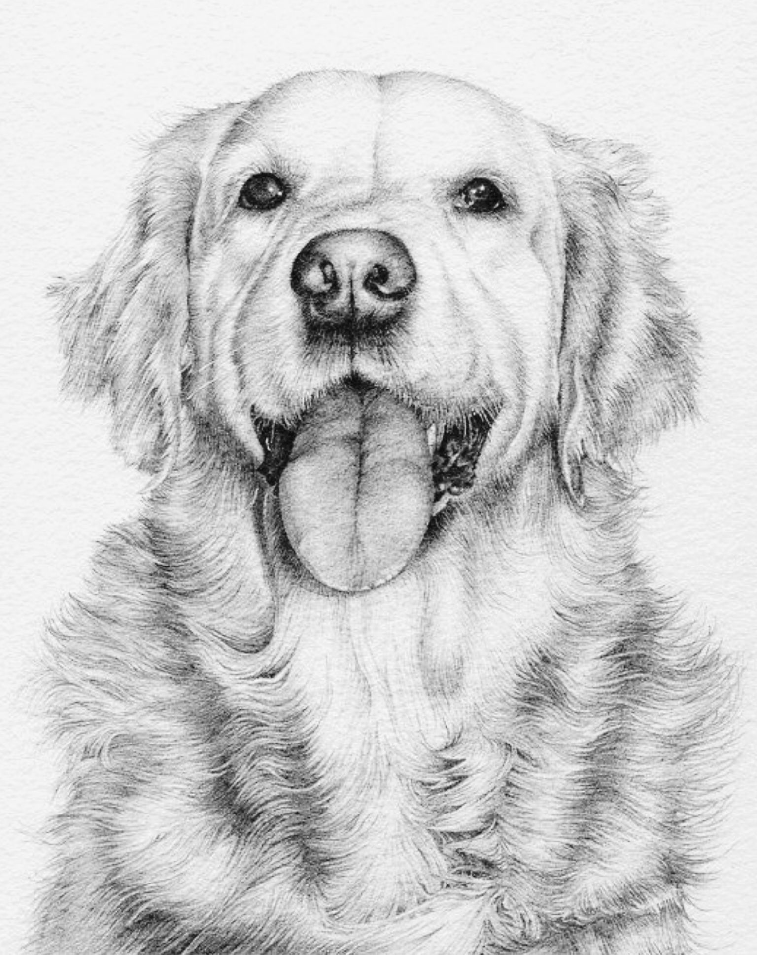 31 Animal Dog Coloring Pages Printable 34