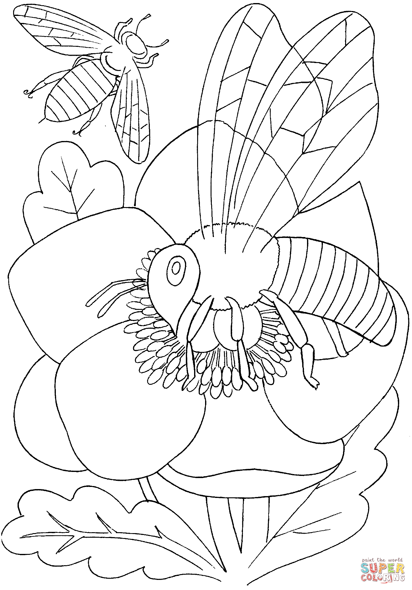 31 Flower and Bee Coloring Pages Printable Nature 1