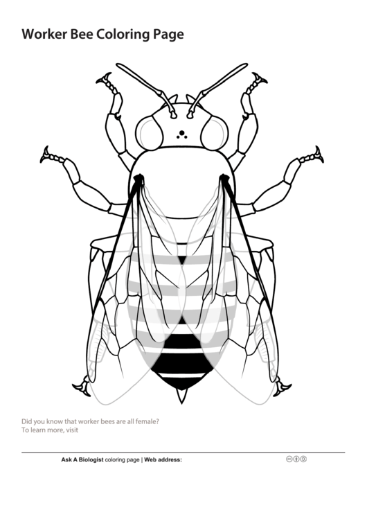 31 Flower and Bee Coloring Pages Printable Nature 15