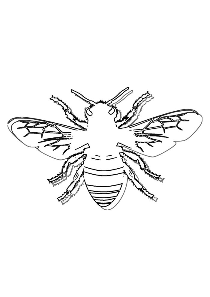 31 Flower and Bee Coloring Pages Printable Nature 16