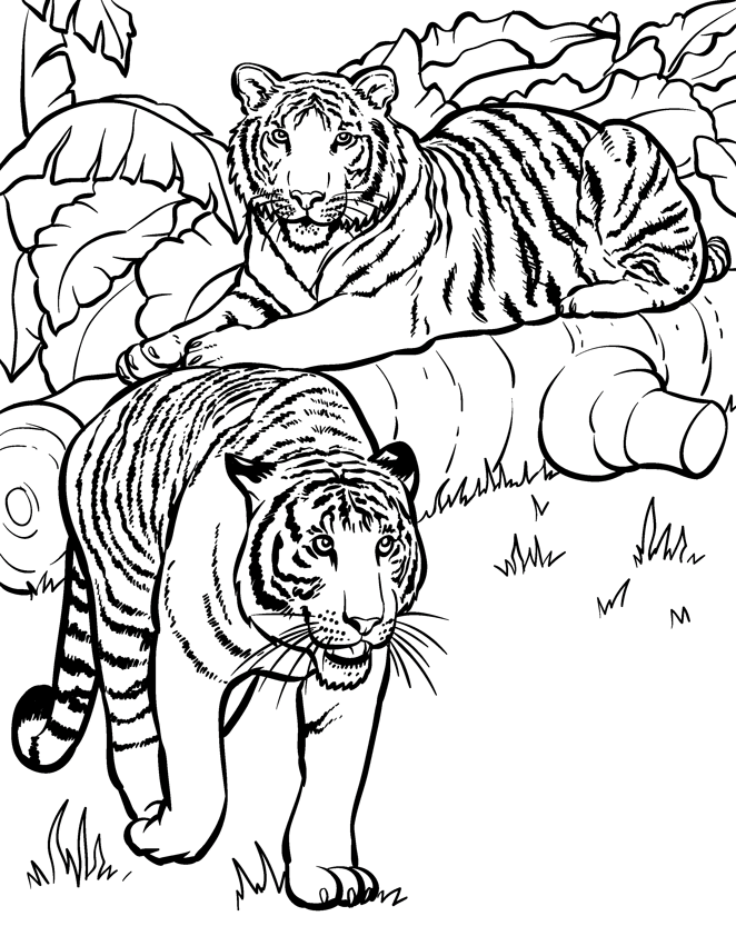 31 Hard Coloring Pages to Print Printable 17