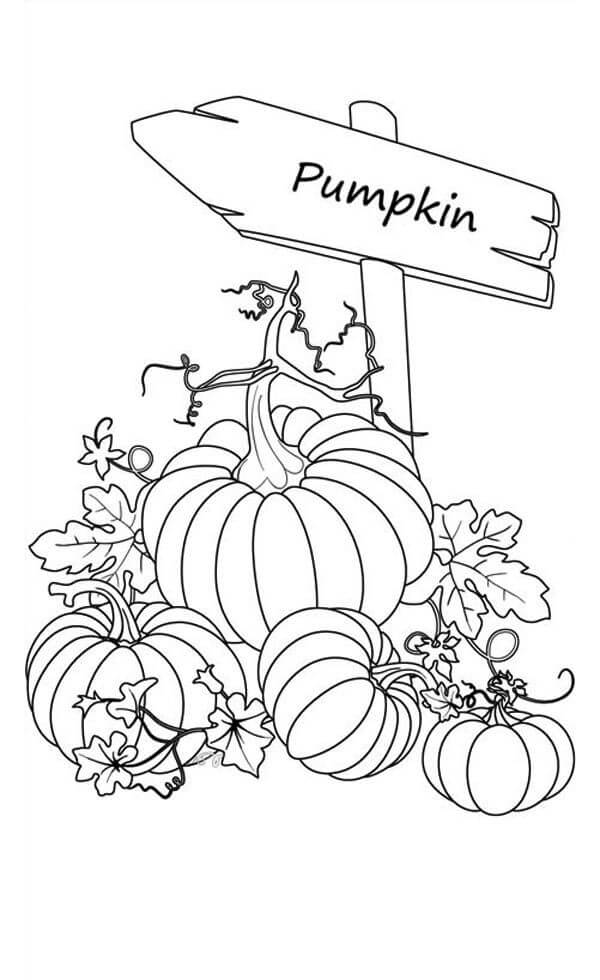 39 Pumpkin Coloring Pages for Kids and Adults - Free Printables 3