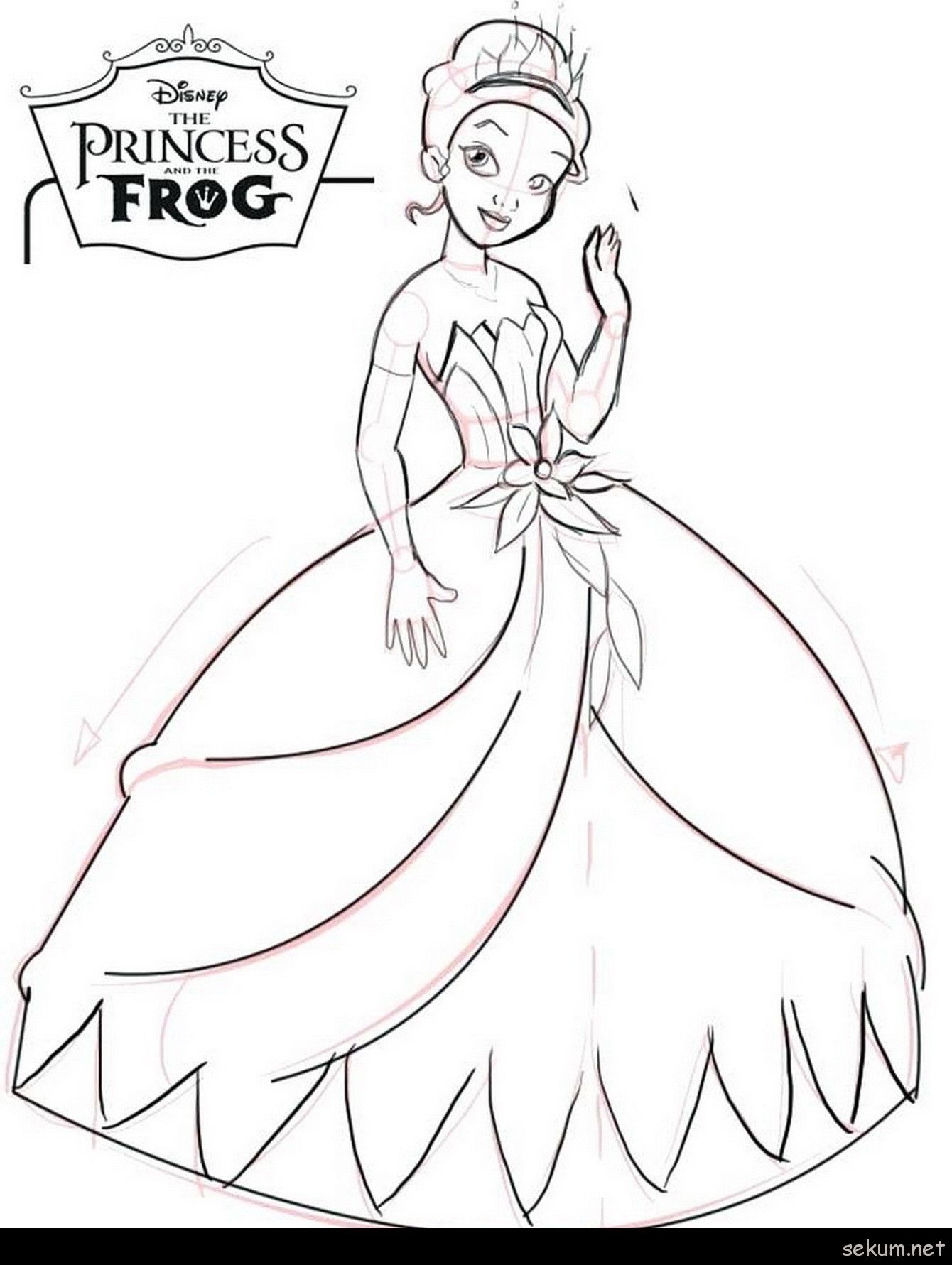 90+ New Princess Frog Coloring Pages Printable