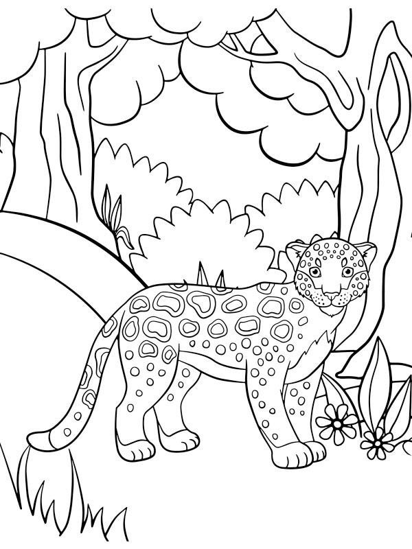 18 Jungle Animal Printable Coloring Pages 3