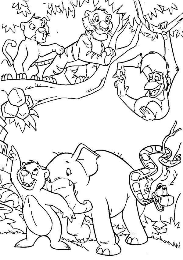 18 Jungle Animal Printable Coloring Pages 5