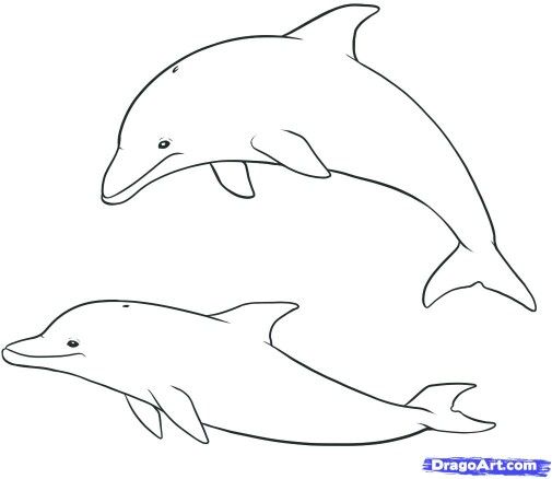 31+ Easy Dolphin Coloring Pages for Kids Free Printable