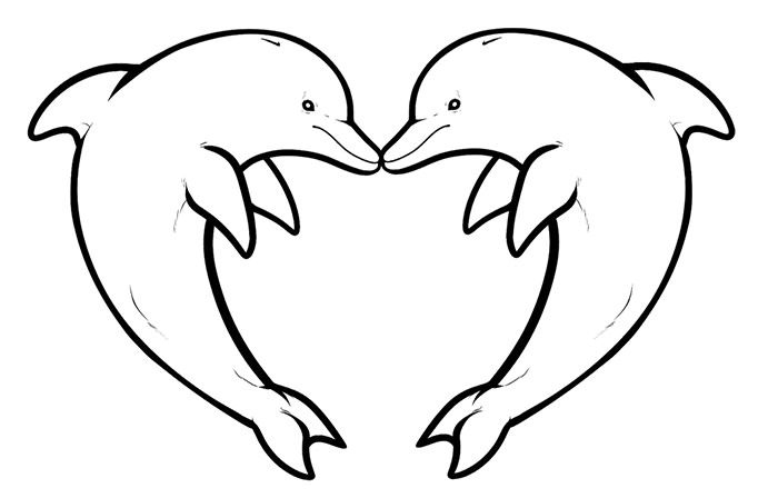 31+ Easy Dolphin Coloring Pages for Kids Free Printable