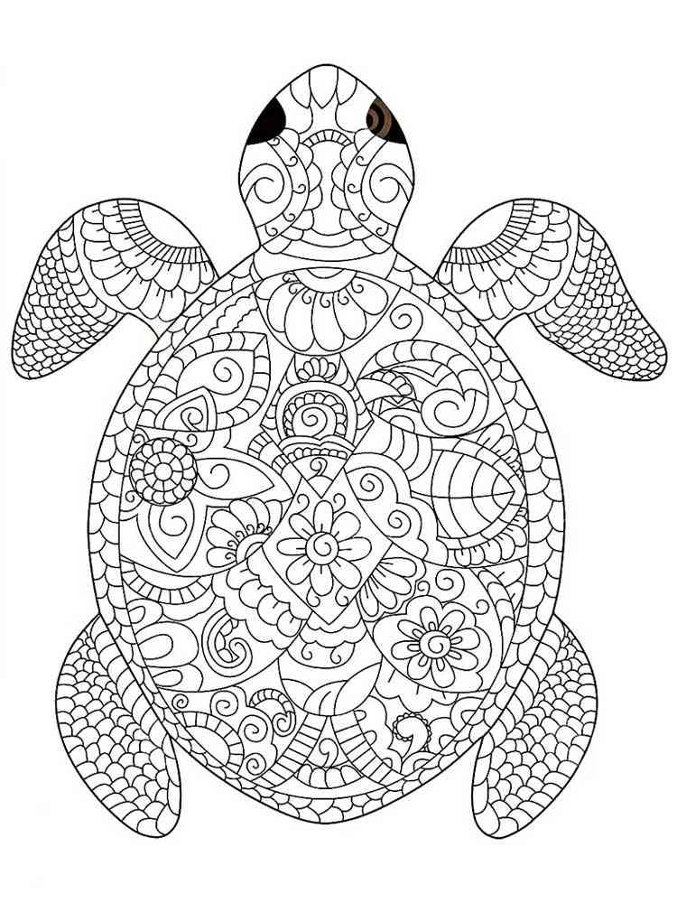 endearing tortoise coloring pages printable jpg