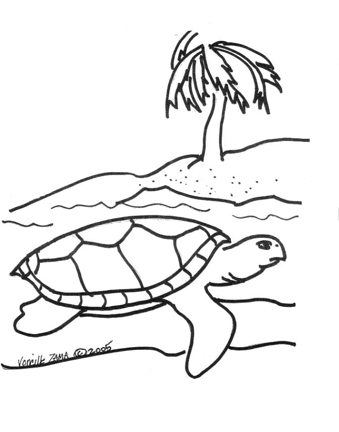 endearing tortoise coloring pages printable jpg