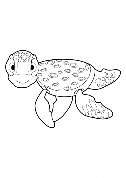 endearing tortoise coloring pages printable jpg