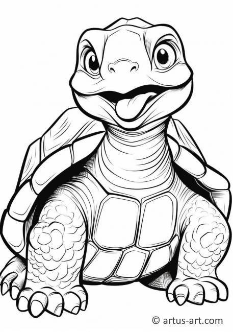 endearing tortoise coloring pages printable jpg