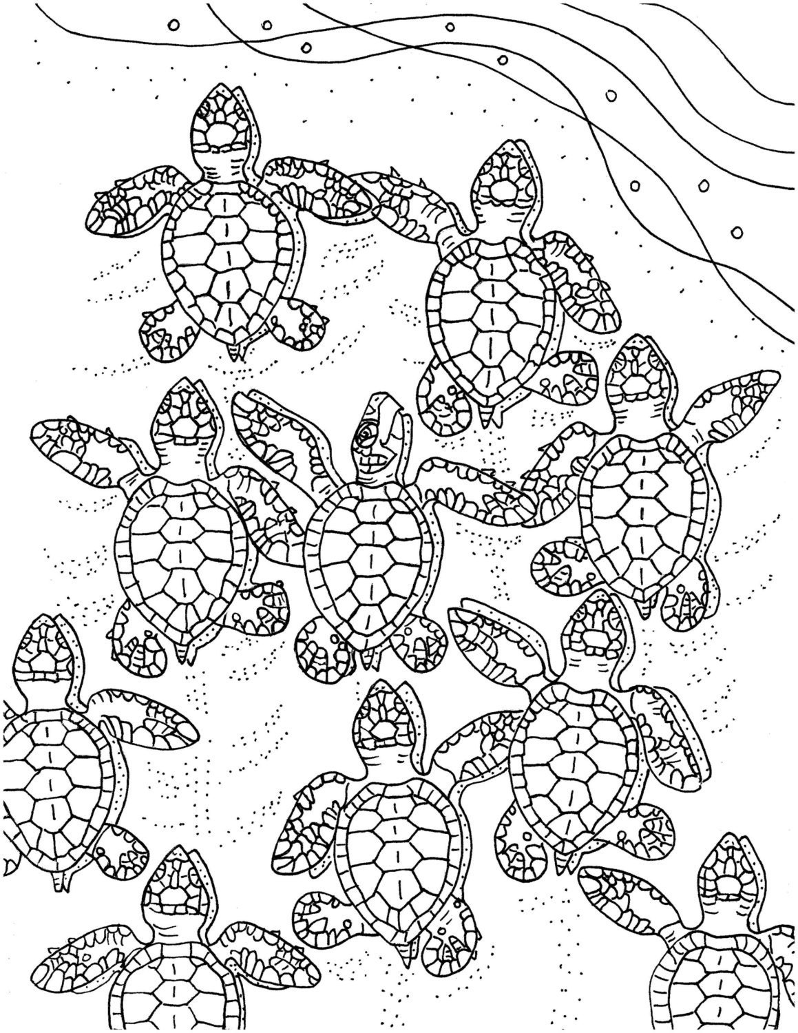 cool turtle coloring pages printable jpg