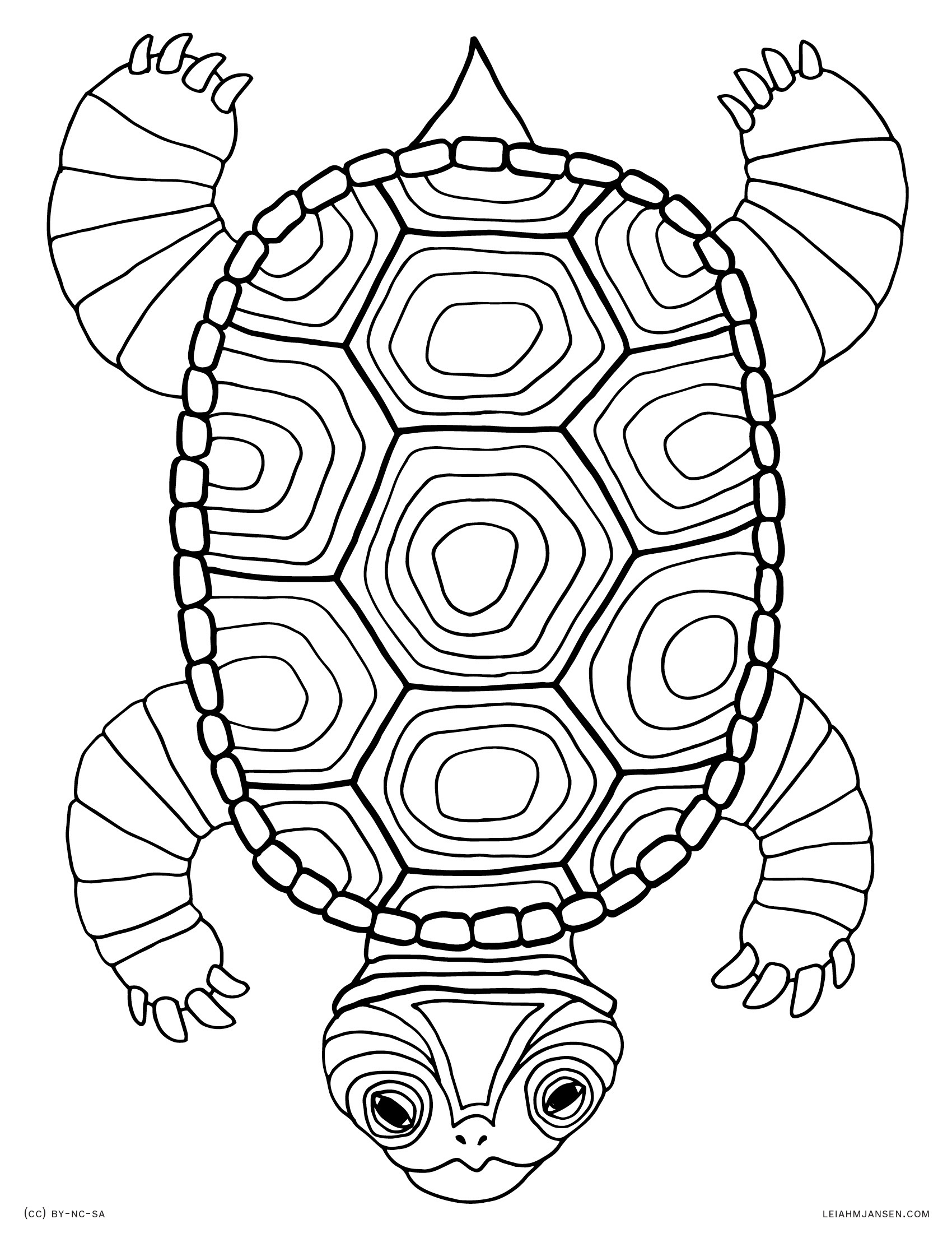 cool turtle coloring pages printable jpg