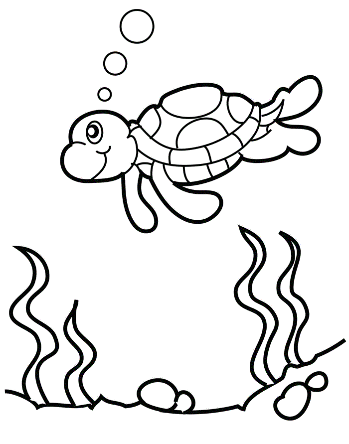 cool turtle coloring pages printable jpg