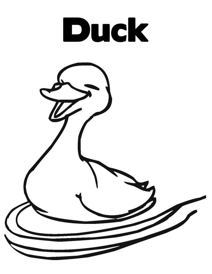 cute duck coloring pages printable jpg