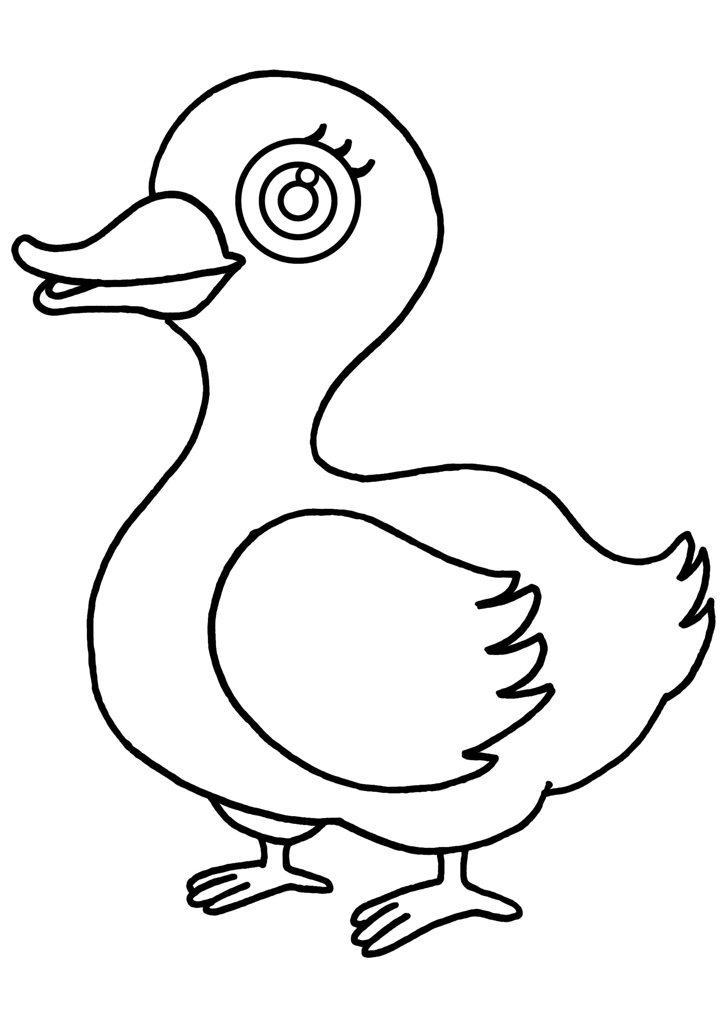 cute duck coloring pages printable jpg