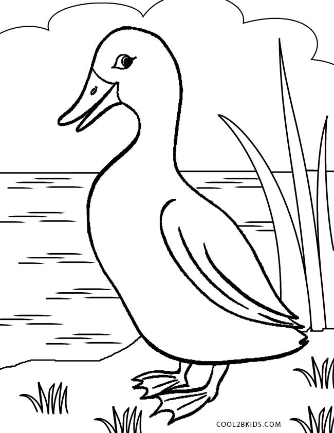 cute duck coloring pages printable jpg