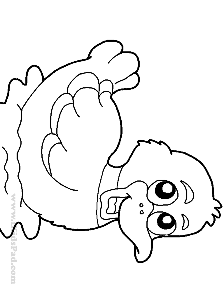 cute duck coloring pages printable jpg