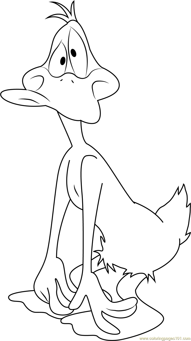 cute duck coloring pages printable jpg