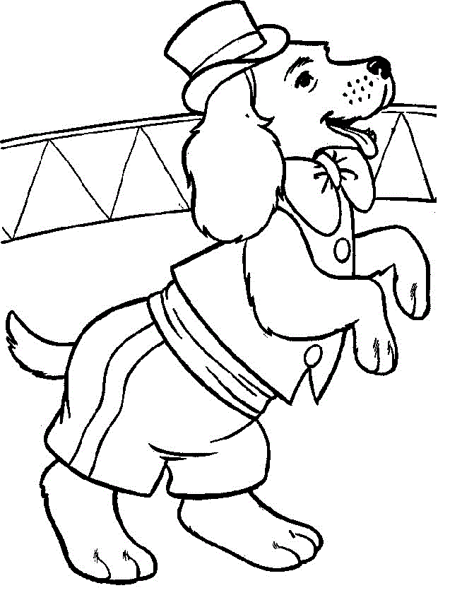 fun dog bone coloring pages printable jpg