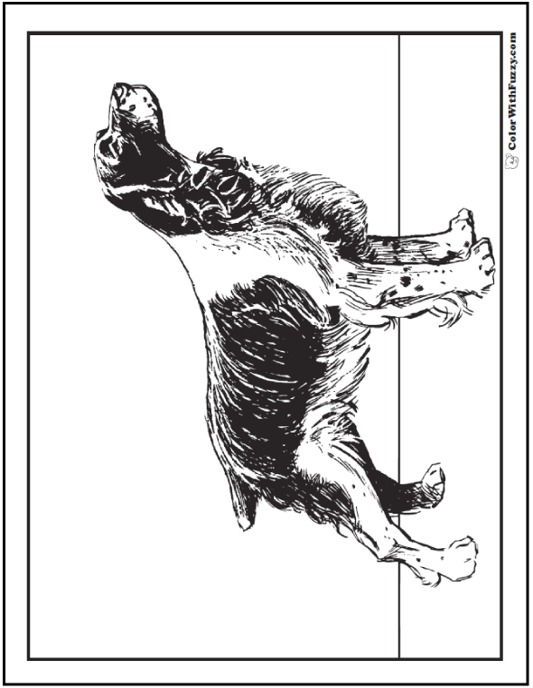 fun dog bone coloring pages printable jpg