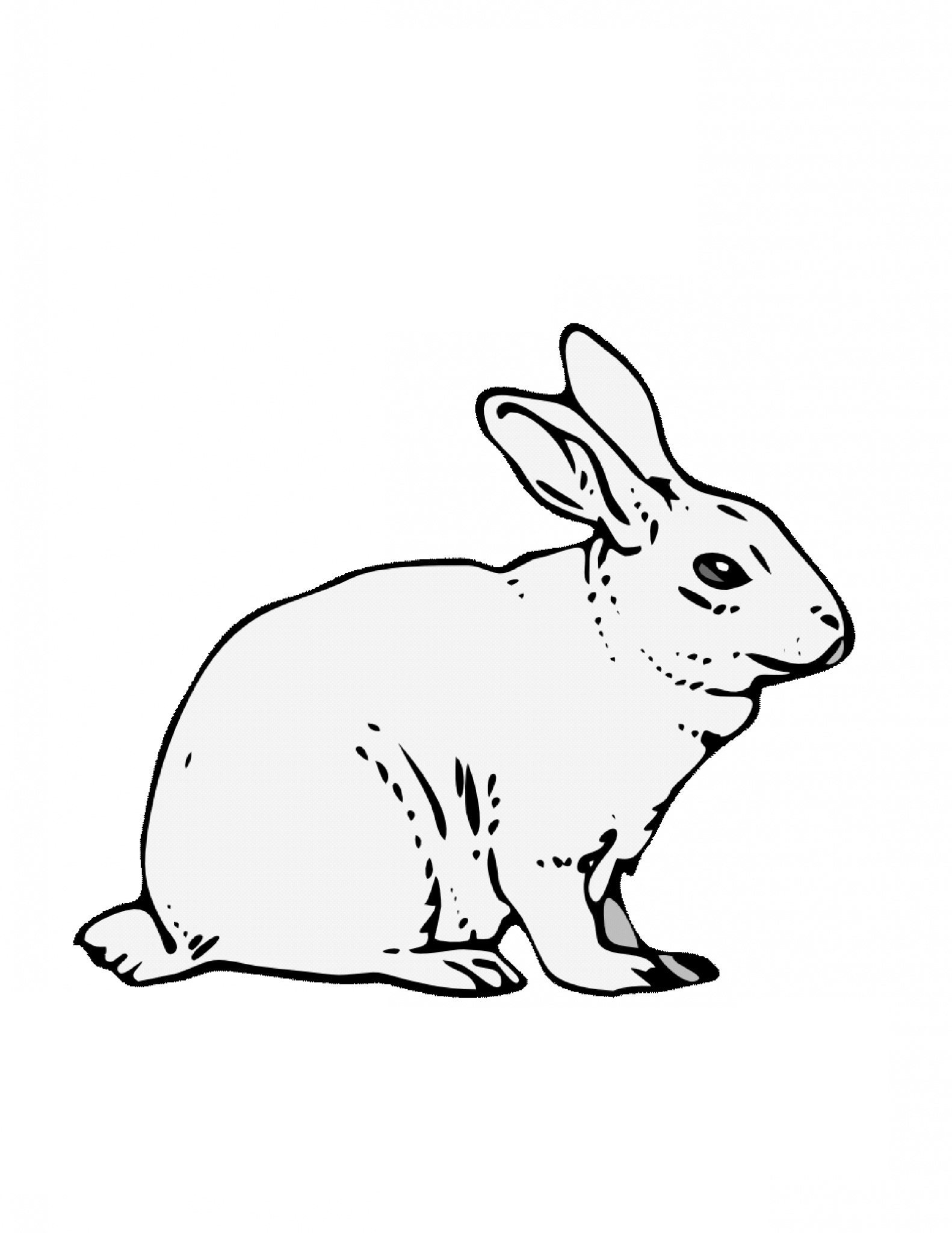 happy bunny coloring pages printable jpg