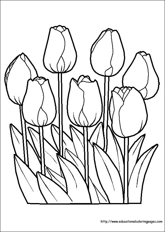 flower coloring pages for kids printable jpg