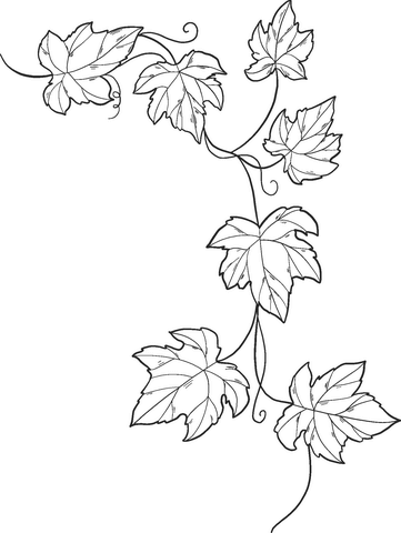 poison ivy from batman coloring pages printable jpg