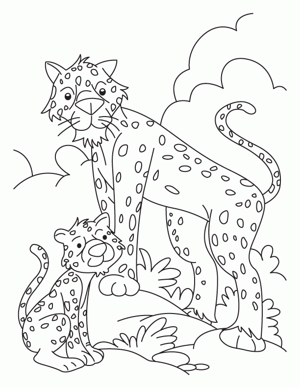 cheetah coloring pages printable jpg