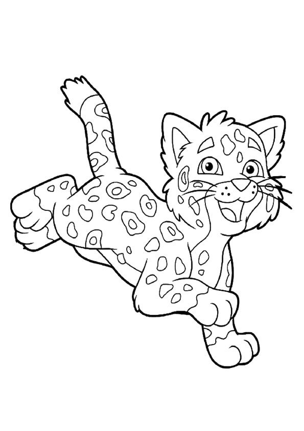 cheetah coloring pages printable jpg