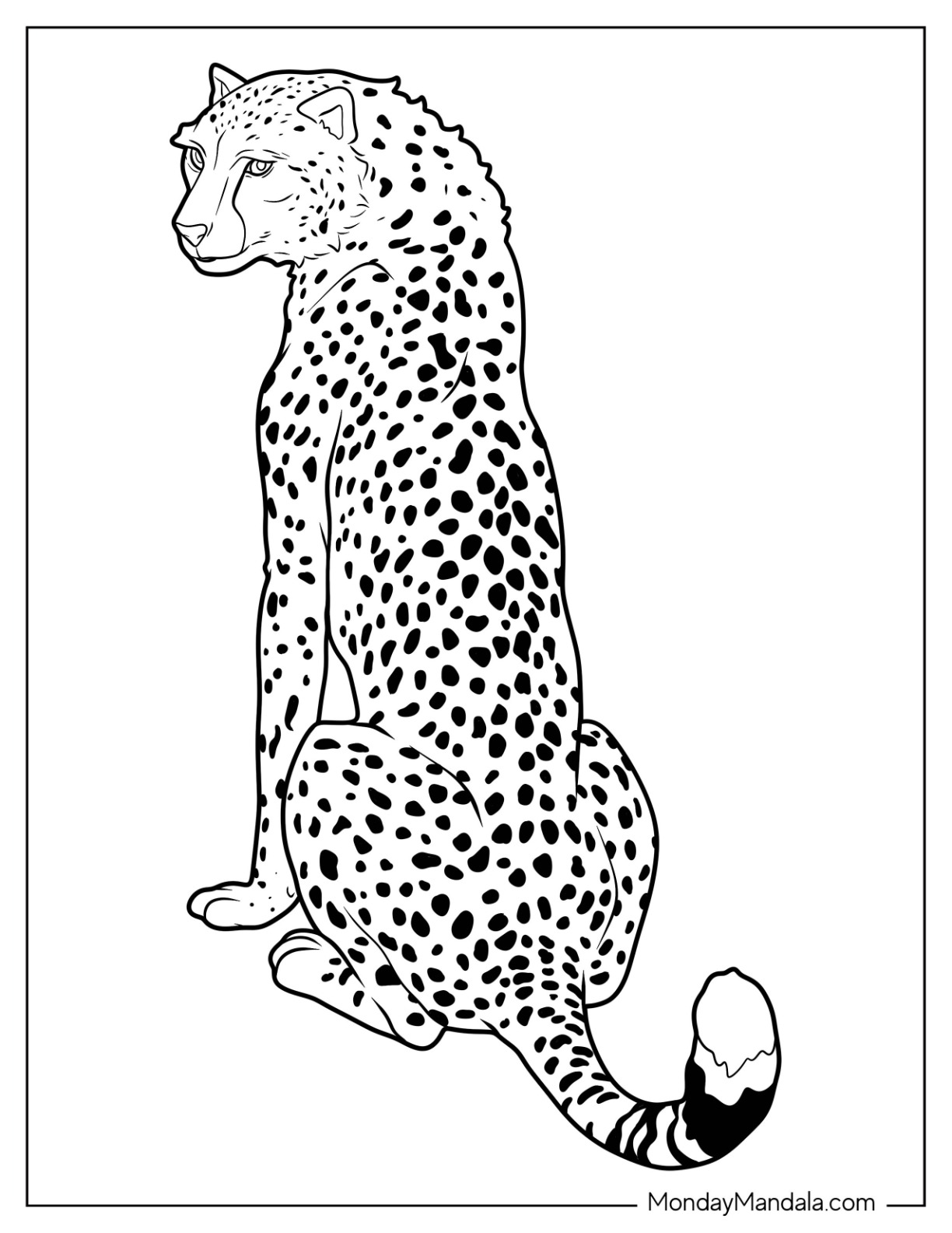 cheetah coloring pages printable jpg