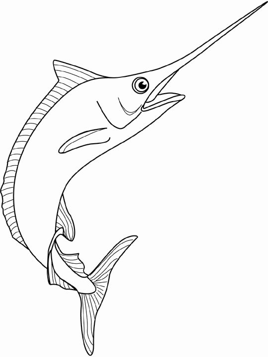 graceful swordfish coloring pages printable jpg