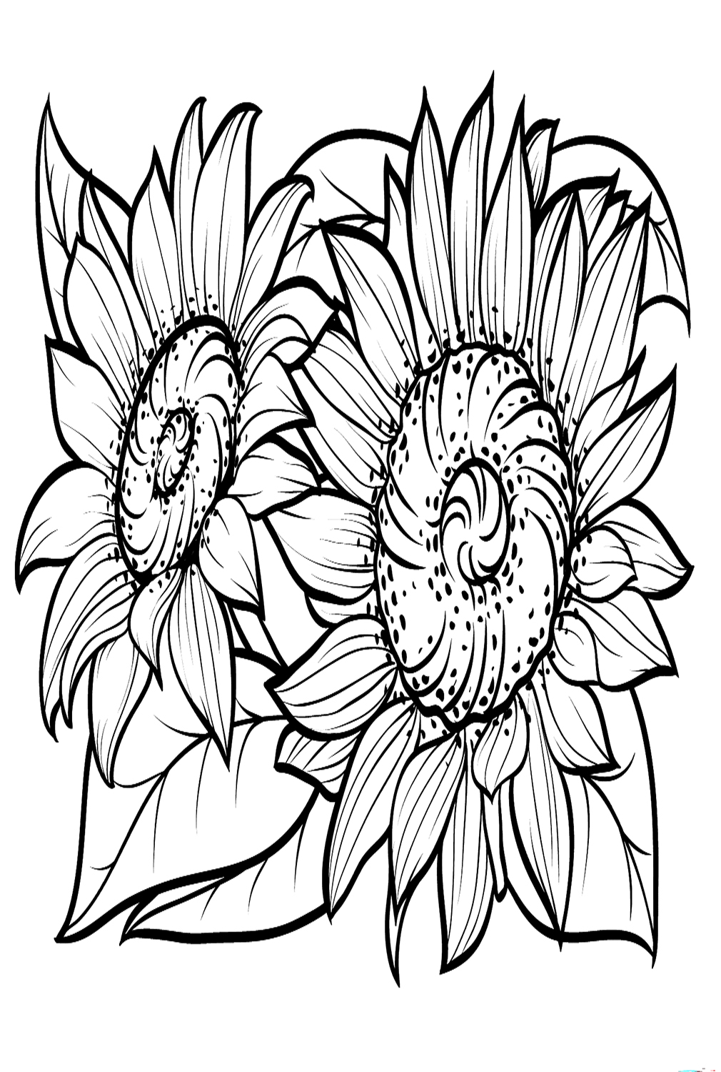 sunny sunflower coloring pages printable jpg