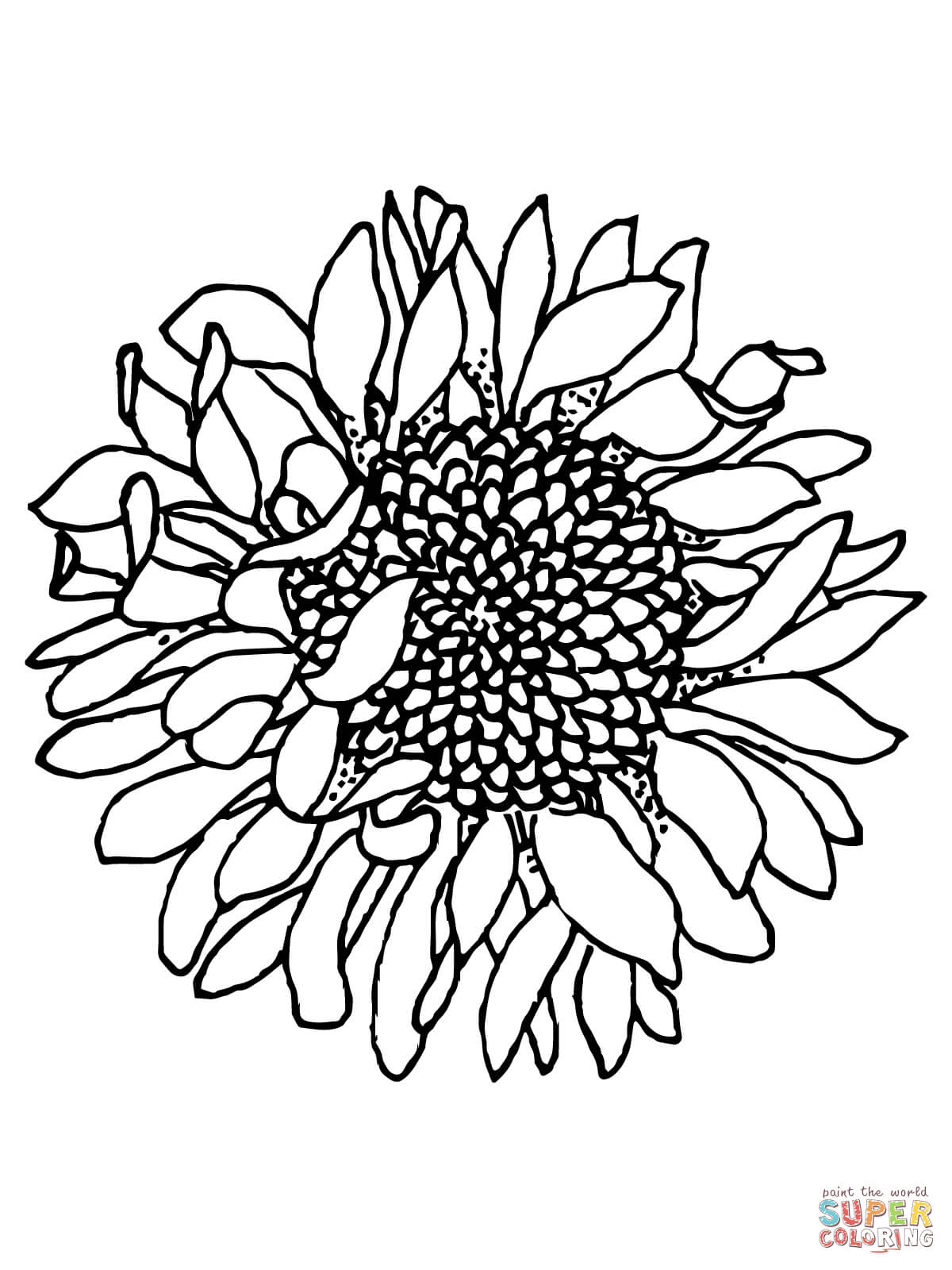 sunny sunflower coloring pages printable jpg